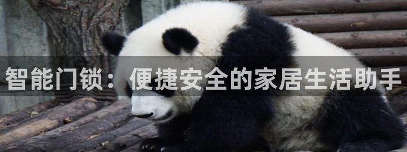 开丰娱乐优七九九47：智能门锁：便捷安全的家居生活助手