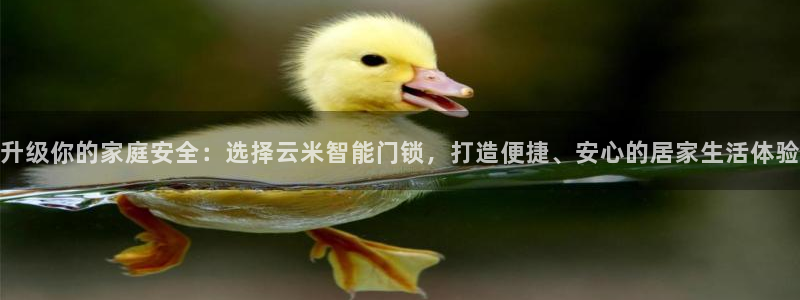 开丰娱乐官网最新消息：升级你的家庭安全：选择云米智能门锁，打
