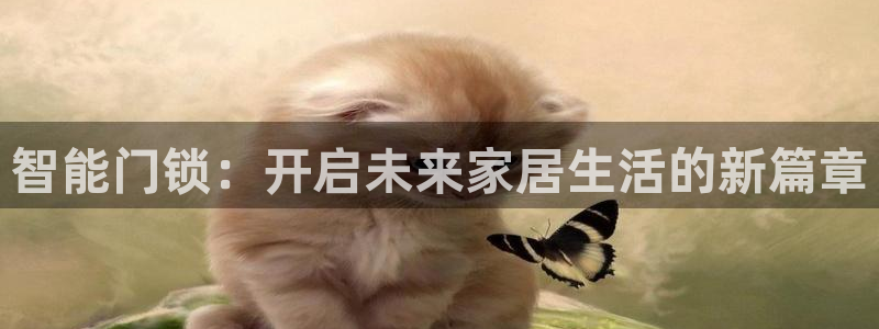 开丰娱乐寸六七五一38：智能门锁：开启未来家居生活的新篇章
