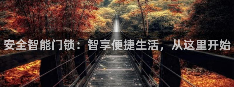 开丰娱乐天7O667：安全智能门锁：智享便捷生活，从这里开始
