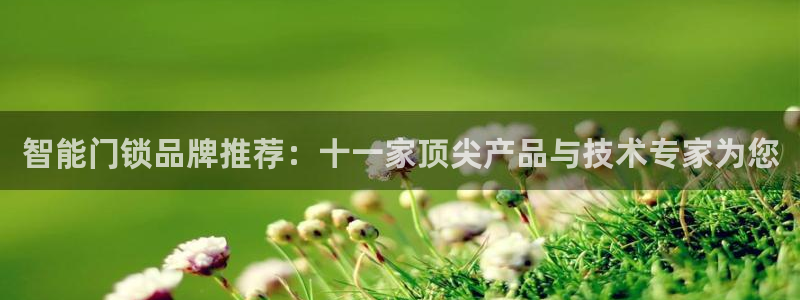 开丰娱乐与六七五一38：智能门锁品牌推荐：十一家顶尖产品与技