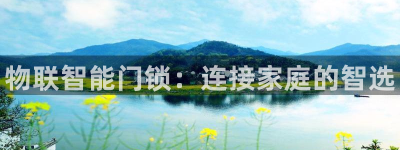 开丰娱乐更多平台：物联智能门锁：连接家庭的智选