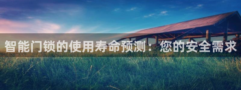 开丰娱乐除7O777：智能门锁的使用寿命预测：您的安全需求