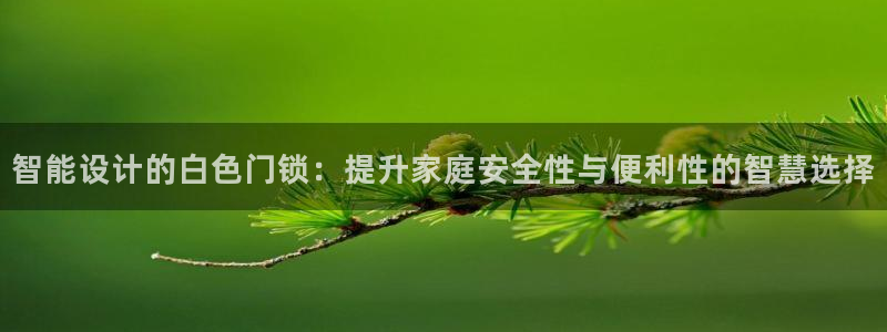 开丰娱乐官网招聘：智能设计的白色门锁：提升家庭安全性与便利性