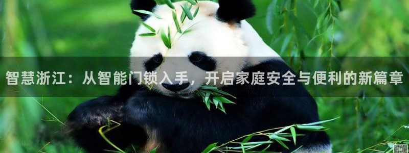 开丰娱乐最新活动：智慧浙江：从智能门锁入手，开启家庭安全与便