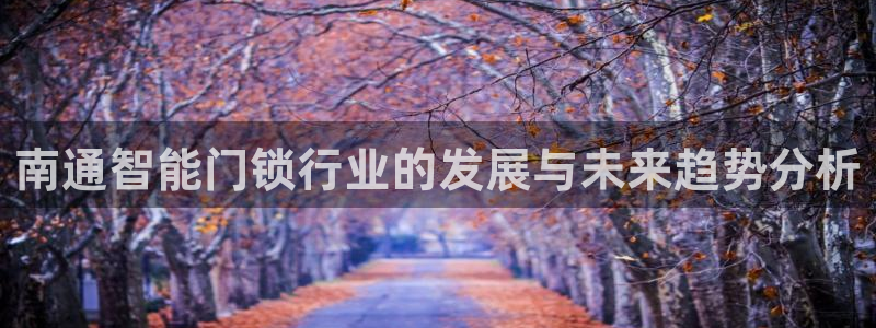 开丰娱乐新登录平台：南通智能门锁行业的发展与未来趋势分析