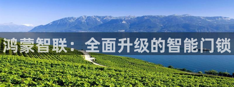 开丰娱乐网站官网：鸿蒙智联：全面升级的智能门锁