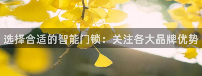 开丰娱乐网站官网首页：选择合适的智能门锁：关注各大品牌优势