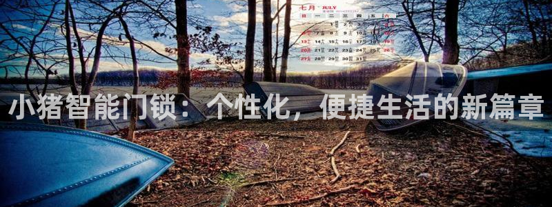 开丰娱乐体育平台：小猪智能门锁：个性化，便捷生活的新篇章