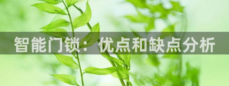 开丰娱乐平台地址电话：智能门锁：优点和缺点分析