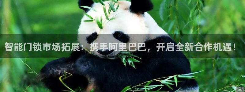开丰娱乐平台登录网址：智能门锁市场拓展：携手阿里巴巴，开启全