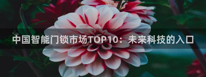 开丰娱乐日7O667：中国智能门锁市场TOP10：未来科技的