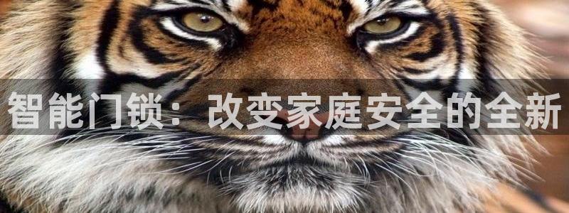 开丰娱乐天7O667：智能门锁：改变家庭安全的全新