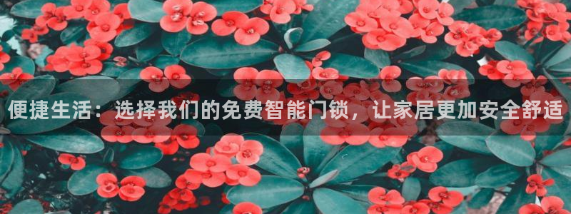 开丰娱乐官网最新消息：便捷生活：选择我们的免费智能门锁，让家
