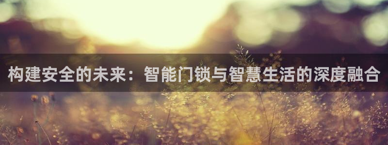 开丰娱乐平台地址：构建安全的未来：智能门锁与智慧生活的深度融
