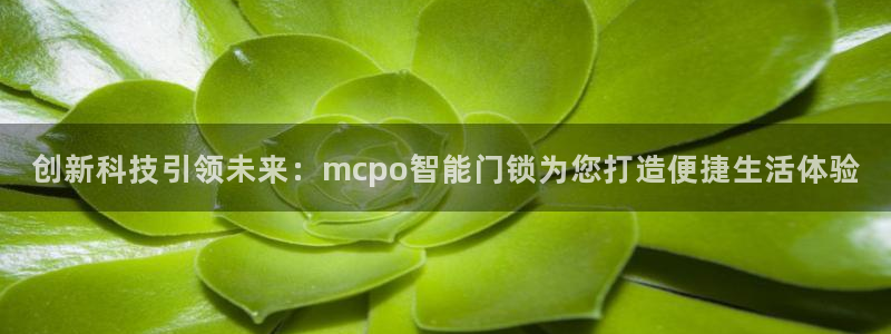 开丰娱乐官网：创新科技引领未来：mcpo智能门锁为您打造便捷