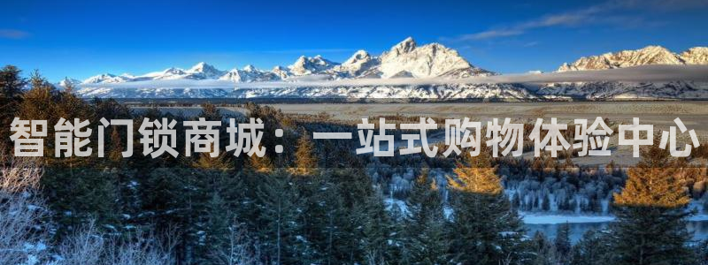 开丰娱乐左7O667：智能门锁商城：一站式购物体验中心