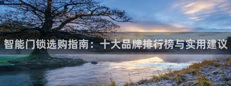 开丰娱乐平台官网登录：智能门锁选购指南：十大品牌排行榜与实用