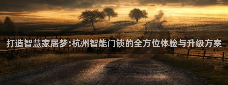 开丰娱乐新登录平台：打造智慧家居梦:杭州智能门锁的全方位体验