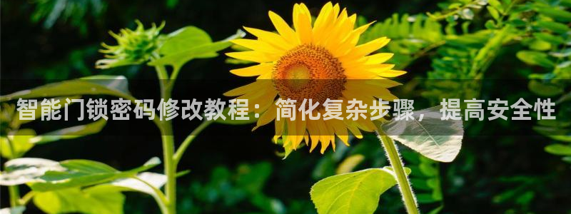 开丰娱乐乙833_43：智能门锁密码修改教程：简化复杂步骤，