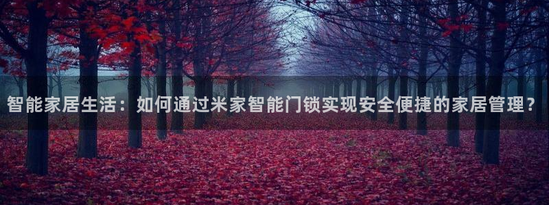 开丰娱乐注册：智能家居生活：如何通过米家智能门锁实现安全便捷