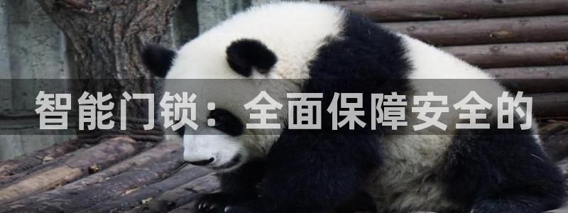 开丰娱乐登入地址：智能门锁：全面保障安全的