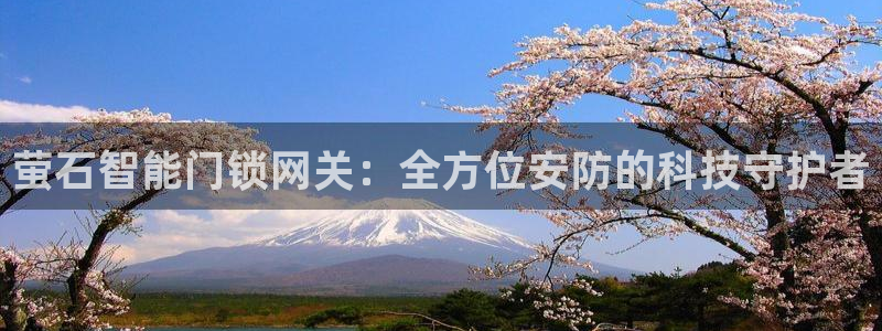 开丰娱乐登入地址在哪儿：萤石智能门锁网关：全方位安防的科技守