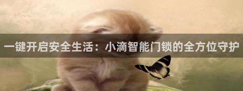 开丰娱乐若七九九