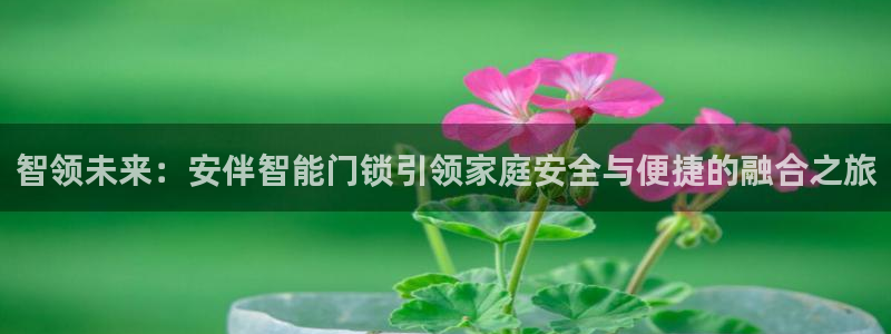 开丰娱乐主管：智领未来：安伴智能门锁引领家庭安全与便捷的融合