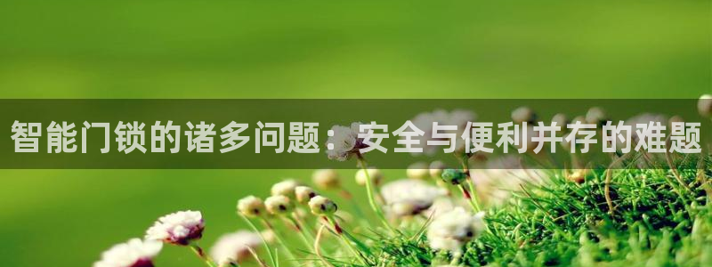 开丰娱乐平台注册：智能门锁的诸多问题：安全与便利并存的难题