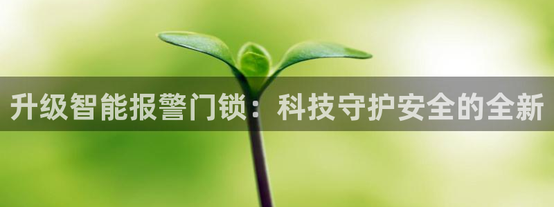 开丰娱乐平台地址电话：升级智能报警门锁：科技守护安全的全新