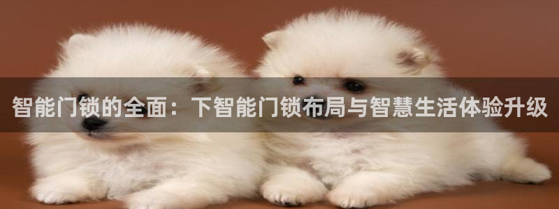 开丰娱乐登录官方网站：智能门锁的全面：下智能门锁布局与智慧生
