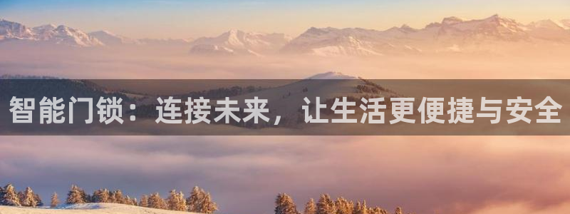 开丰娱乐日：智能门锁：连接未来，让生活更便捷与安全