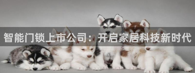 开丰娱乐官网登录网址：智能门锁上市公司：开启家居科技新时代