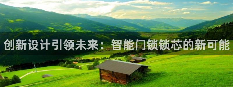开丰娱乐登录平台：创新设计引领未来：智能门锁锁芯的新可能