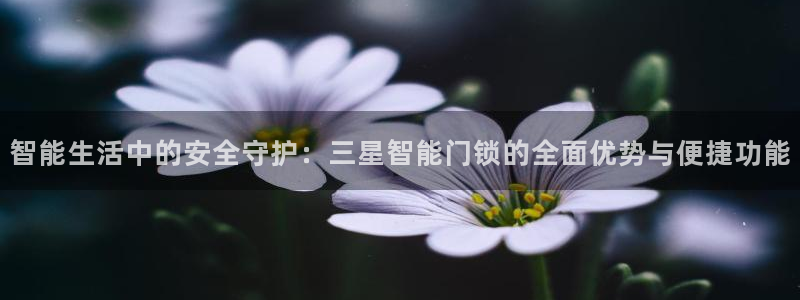 开丰娱乐主管家去判官333OO：智能生活中的安全守护：三星智